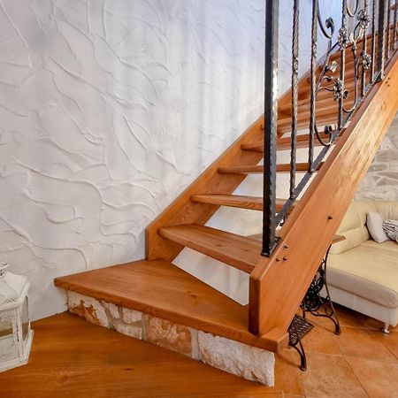 Villa Ariana Novigrad Istria Exterior foto