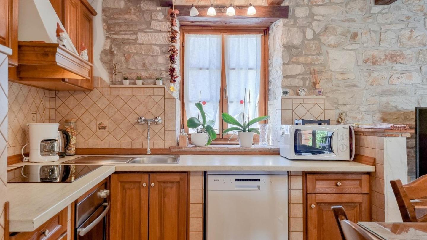 Villa Ariana Novigrad Istria Exterior foto